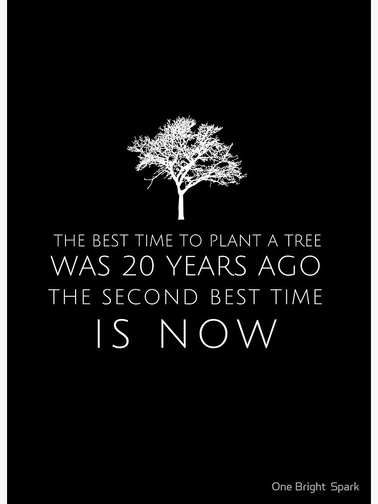 The best time to plant a tree was 20 years ago. The second best time is now  - Chinese proverb." Art Board Print for Sale by One Bright Spark | Redbubble