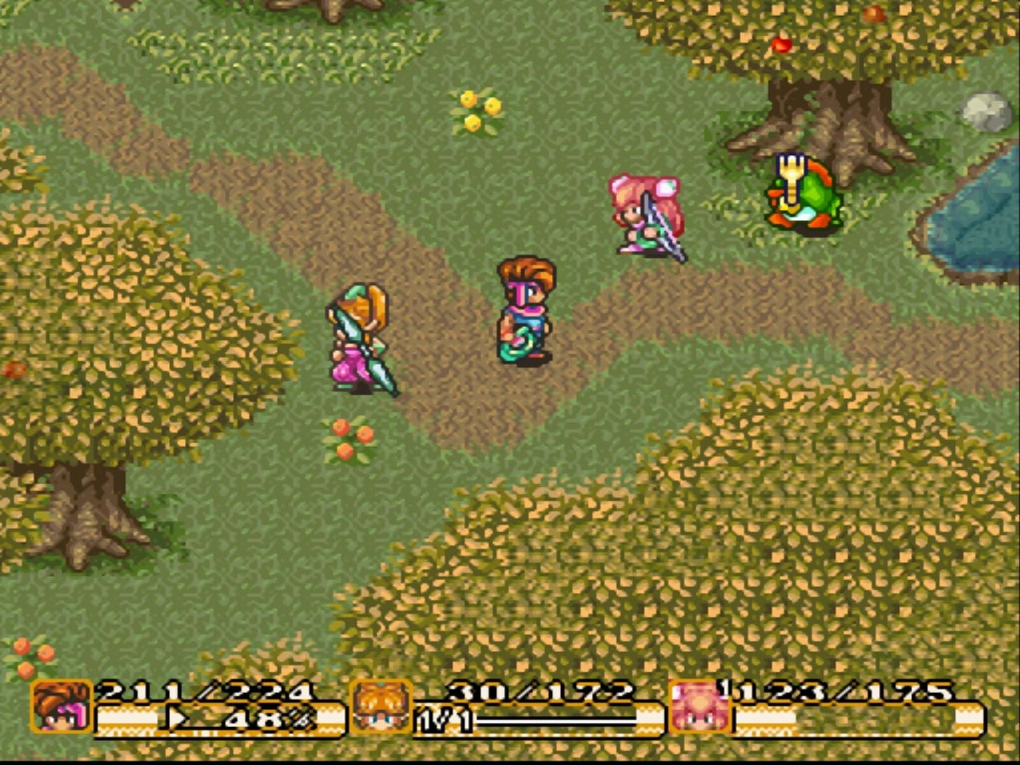Picture from SNES game Secret of Mana