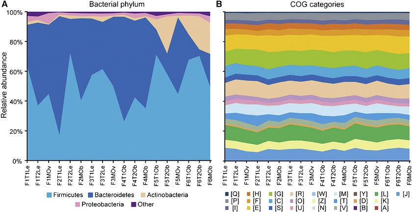 Disparity Between Microbial Community Composition and Function among Individuals