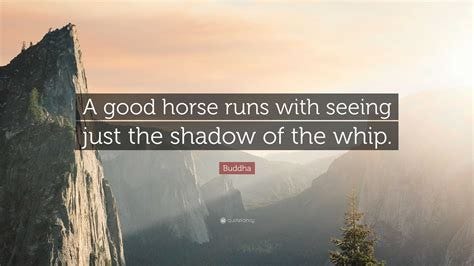 Buddha Quote: "A good horse runs with seeing just the shadow of the whip."