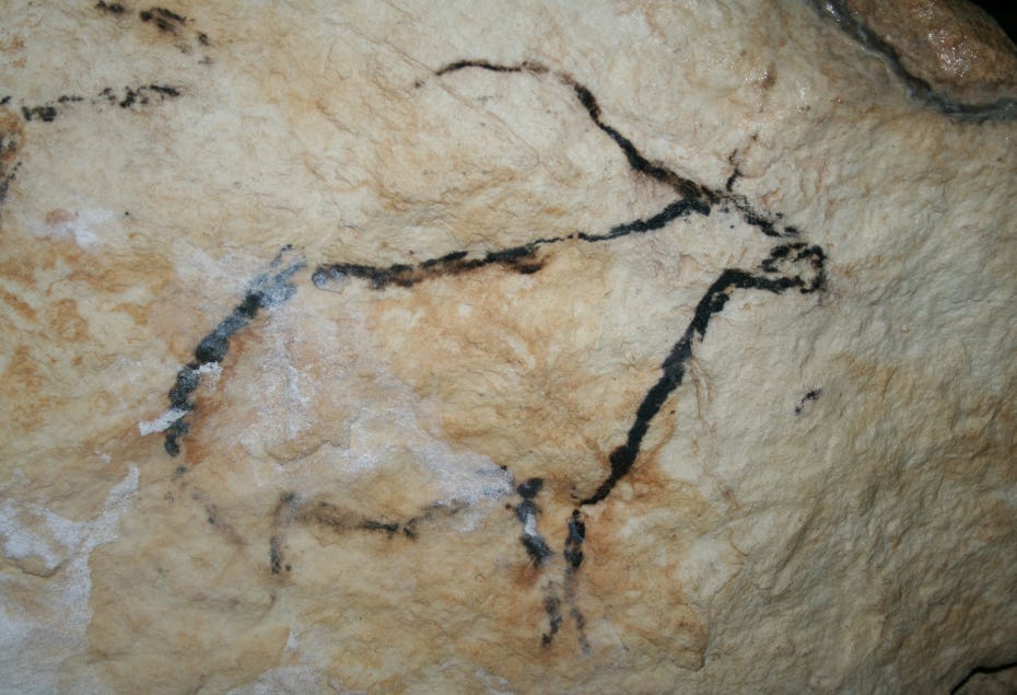 Painting at Nerja Cave | Cuevas, Pinturas rupestres, Arte rupestre