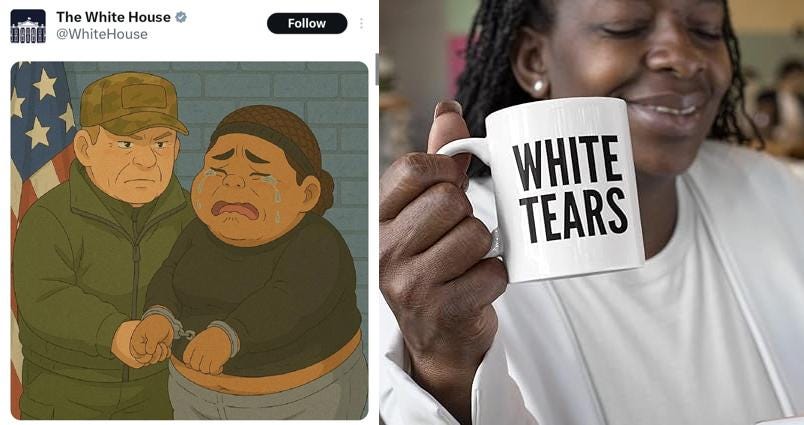 Left: the scandalous White House fentanyl ghibli tweet. On right: a very banal 'white tears' celebration mug as a stand-in for the ancien regime.