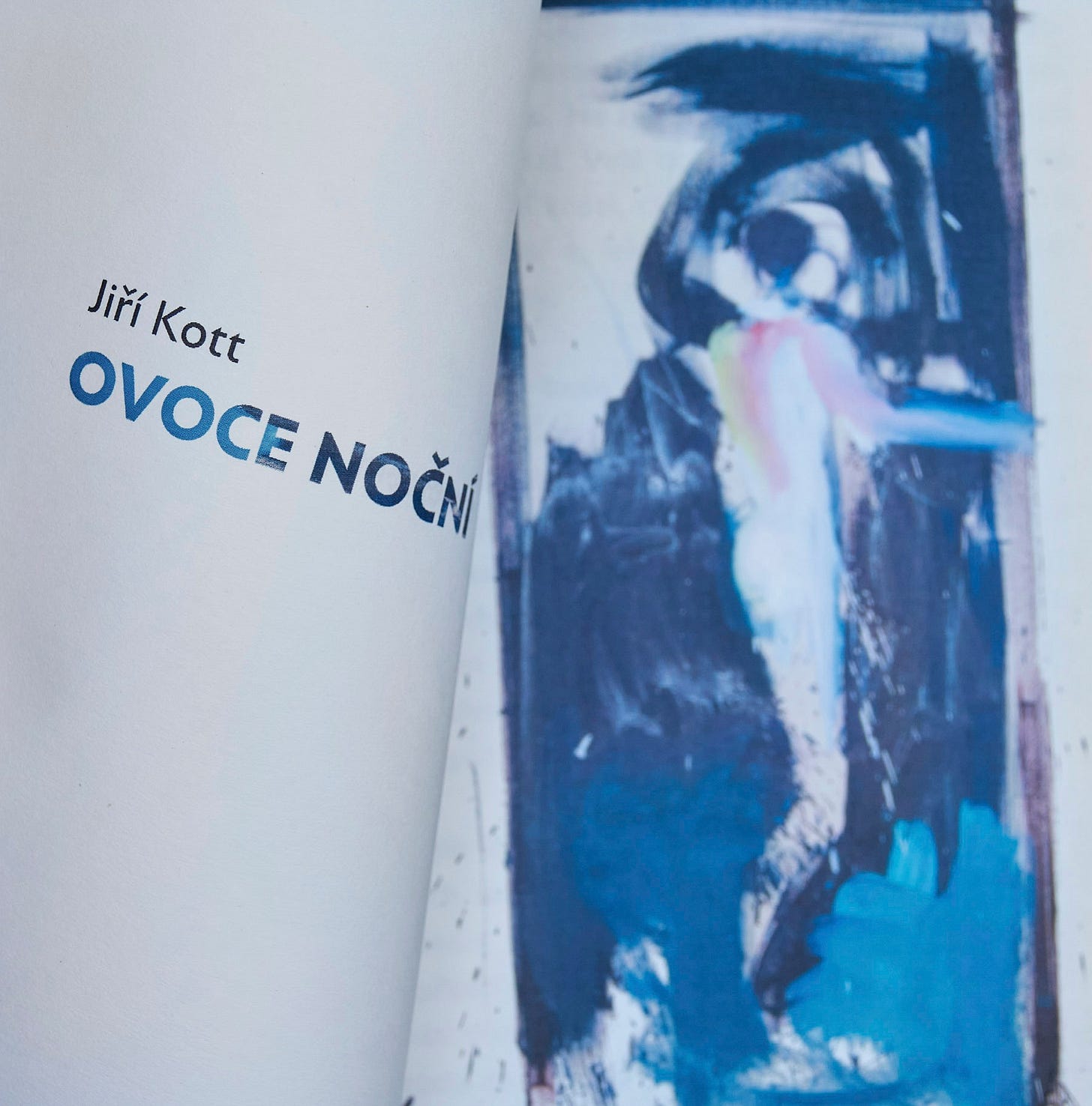 Může jít o kreativní obsah deník a text