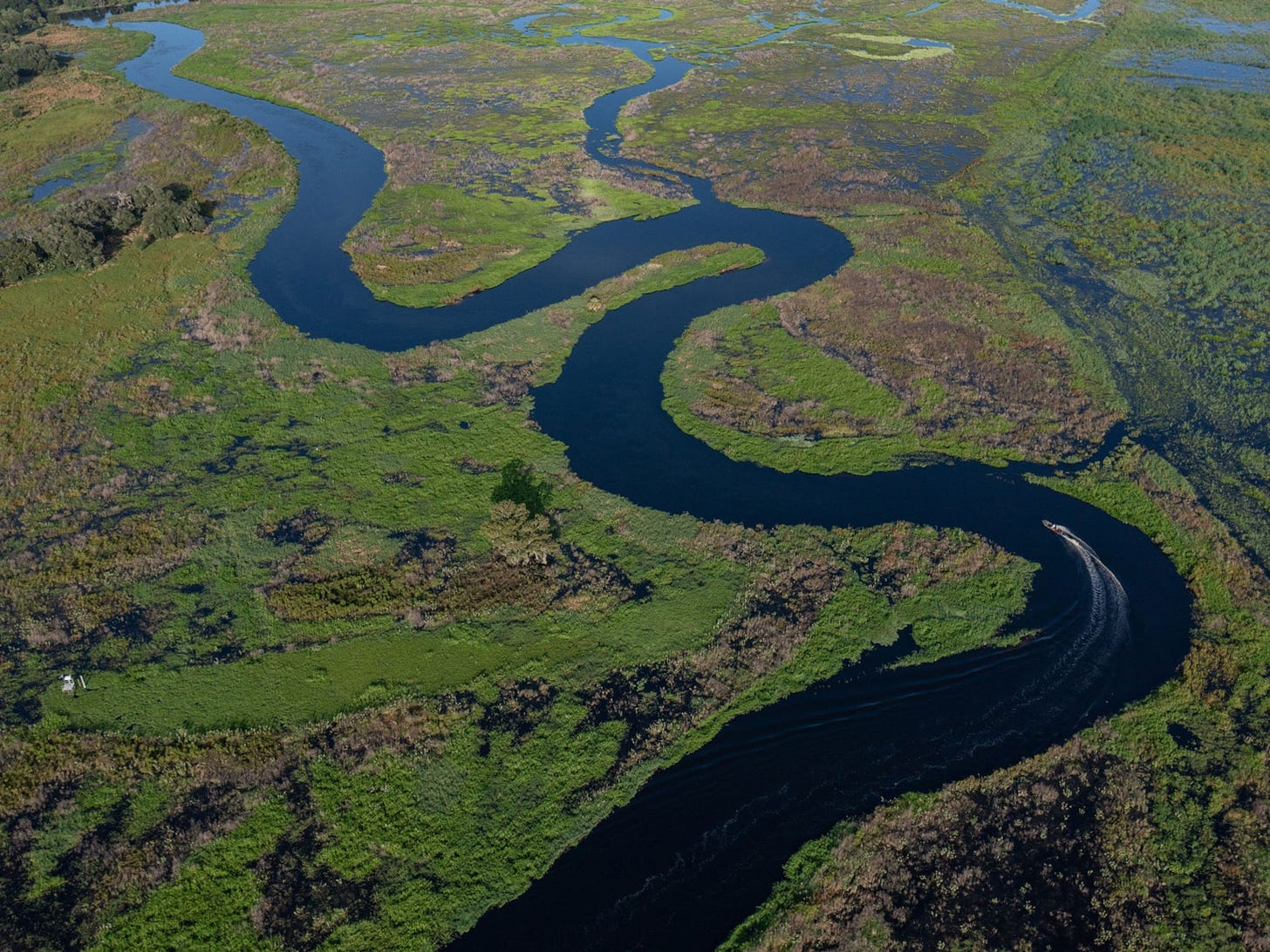 The Kissimmee River has been brought back to life—and wildlife is thriving