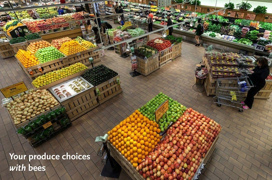 This Is What Your Grocery Store Looks Like Without Bees (PHOTOS) | HuffPost Impact