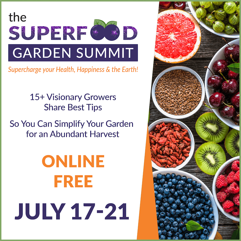 Superfood Garden Summit--replay this weekend