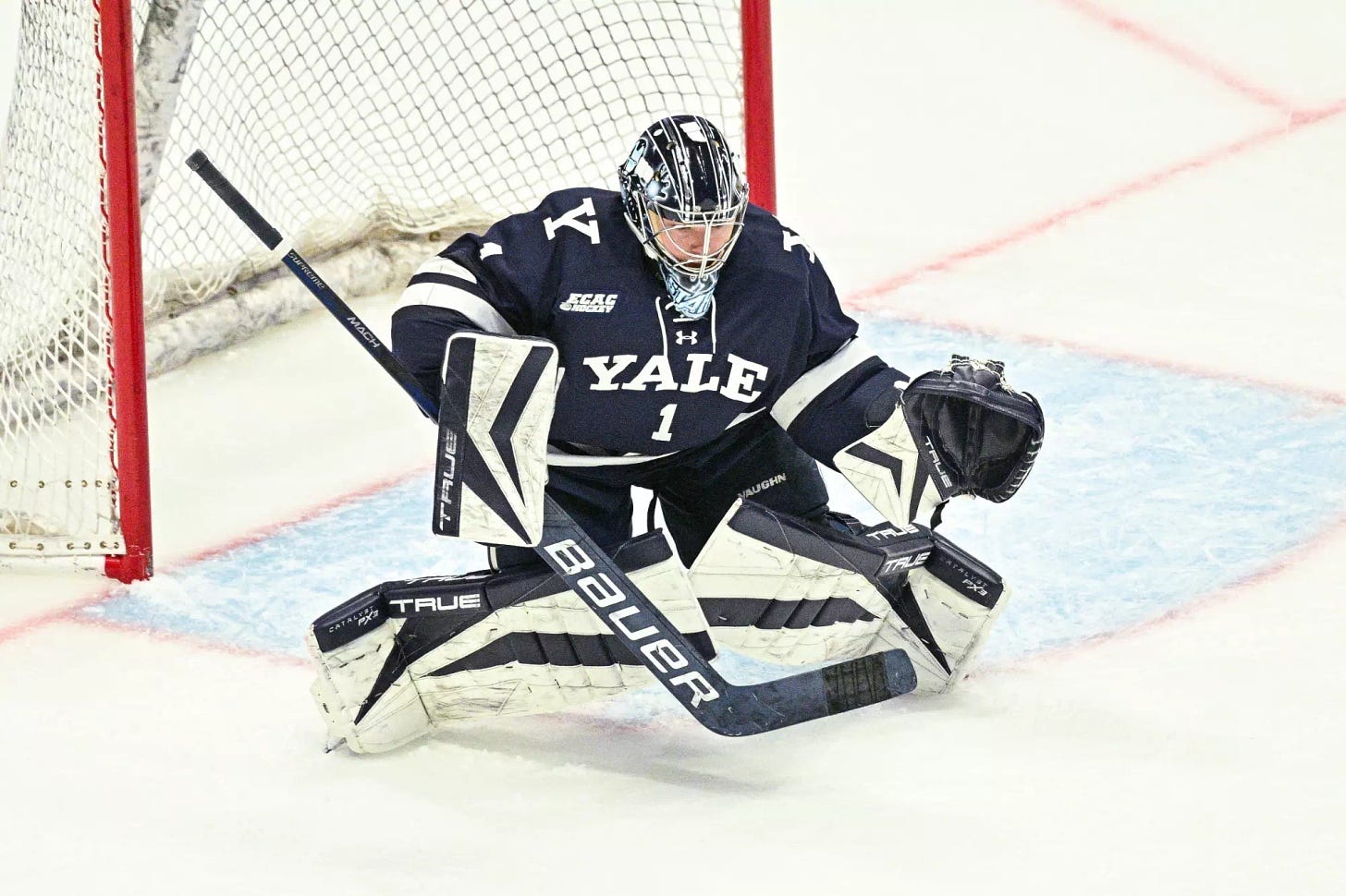 Jack Stark - 2024-25 - Men's Ice Hockey - Yale University