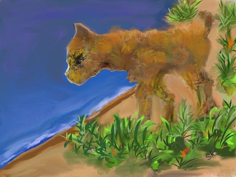 Image of a wild cat by Sherry Killam Arts, at the top of a cliff overlooking the ocean.