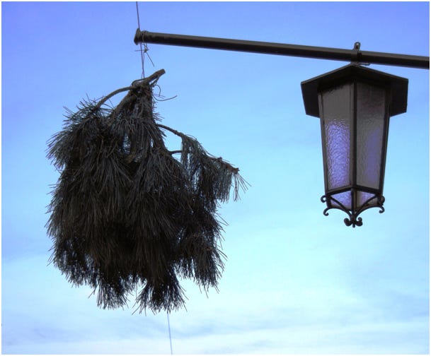 A vintner's bush hangs in front of a Heuriger in Vienna.