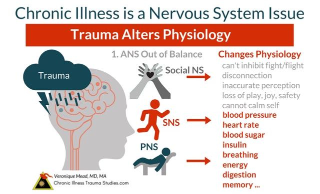 Chronic illness, trauma and the nervous system explain how life experiences affect and shape health. Trauma changes physiology such as heart rate, blood pressure, sugar and insulin levels, energy, digestion, metabolism and more. Trauma affects chronic illness by interrupting nervous system balance and fight, flight, freeze. Symptoms include hypervigilance, PTSD, fatigue, depression, anxiety, nightmares and more. #autoimmune #chronicillness #me/cfs #ra #rd #ms #ibd #fibromyalgia #parkinson's #alzheimer's #IBD Chronic Illness Trauma Studies (CITS) _Mead
