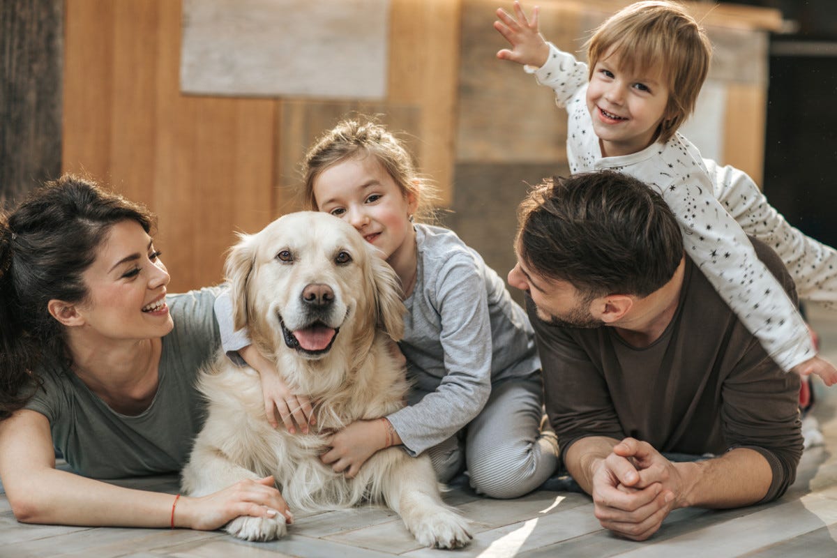 Pet with family - Pets Are Family silverbureau.ma