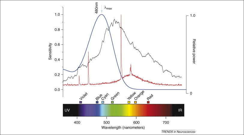 Melanopsin: an exciting photopigment - ScienceDirect