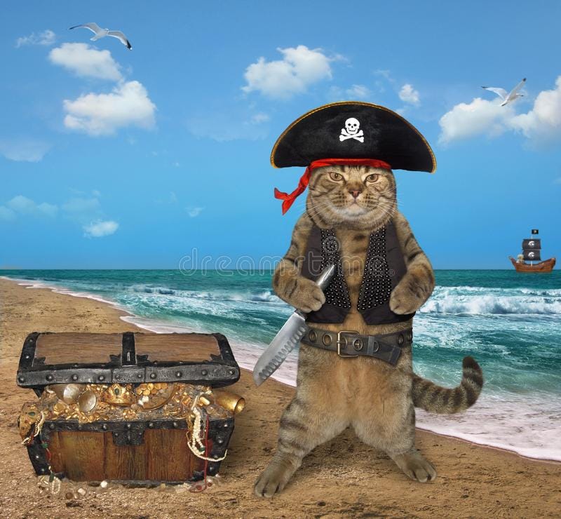 388 Pirate Cat Stock Photos - Free & Royalty-Free Stock Photos from  Dreamstime