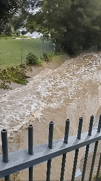 animated gif: A magnetic (and visible!) river sprang to life near my apartment complex earlier this month when we got record-breaking rains in Southern California.