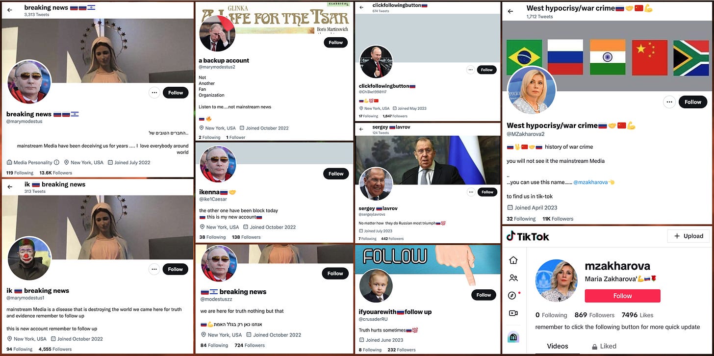 screenshots of the "marymodestus" accounts, including 9 Twitter accounts and 1 TikTok account