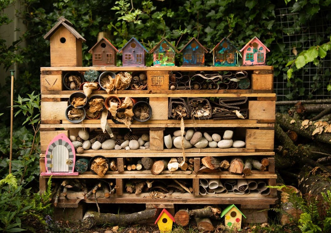 Roundwood Primary School’s bug hotel for hedgehogs