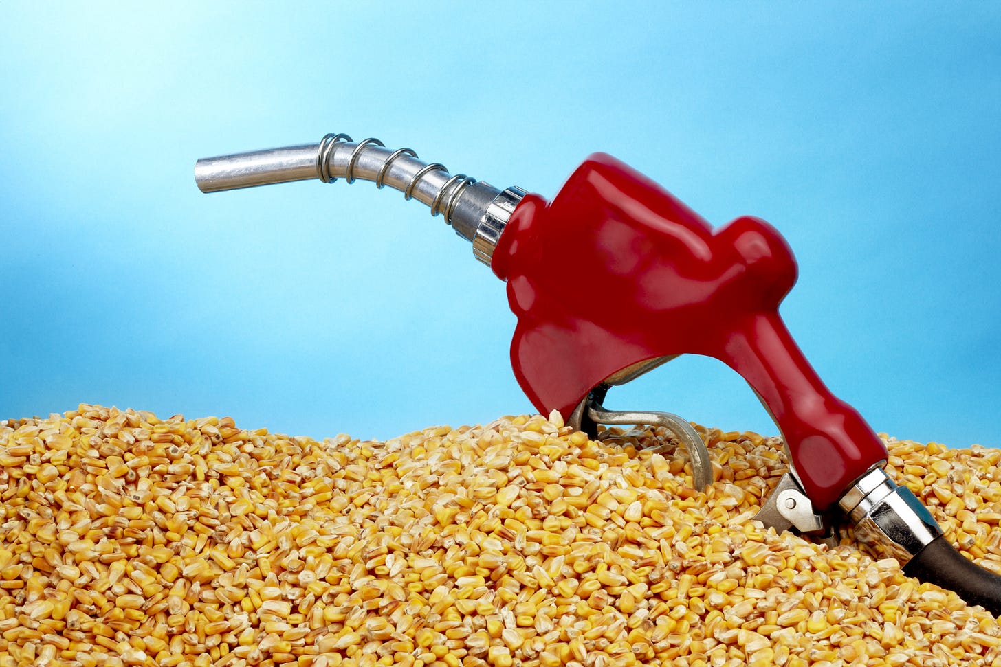 The GOP's king corn problem | Grist