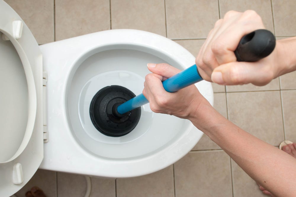 3 Reasons Your Toilet Won't Flush | Armor Plumbing