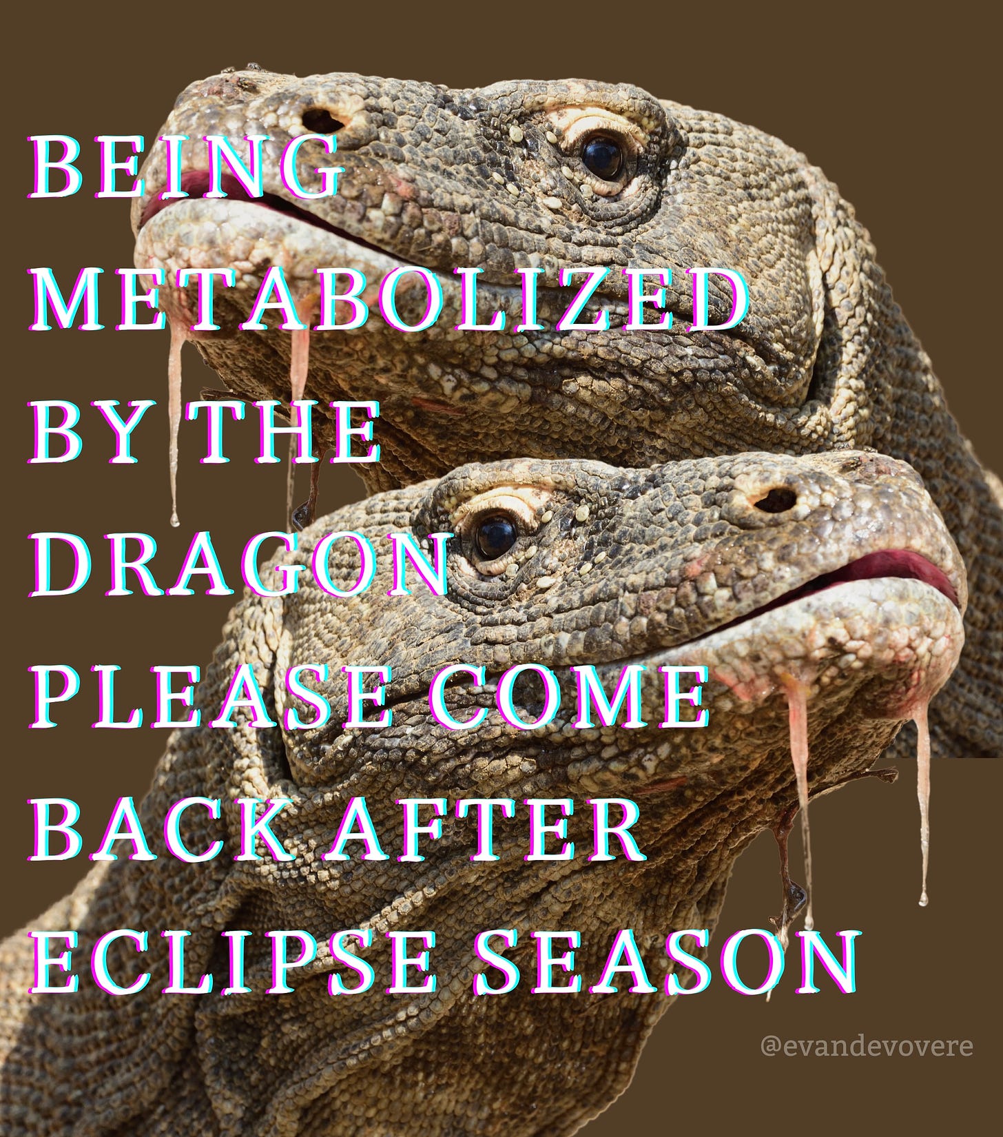 Image of a Komodo Dragon lizard’s head which is duplicated so there are two of the same photo. The lizard has red goo coming from its mouth as if it has just freshly eaten something. Text over the lizard reads: “BEING METABOLIZED BY THE DRAGON, PLEASE COME BACK AFTER ECLIPSE SEASON”