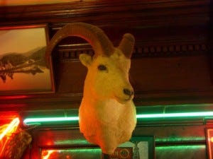 My companion at the bar at Ole's. We chatted for hours.