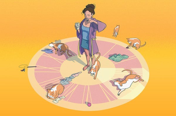 Sự thực về giấc ngủ Polyphasic - Ngủ đa pha có tốt không?