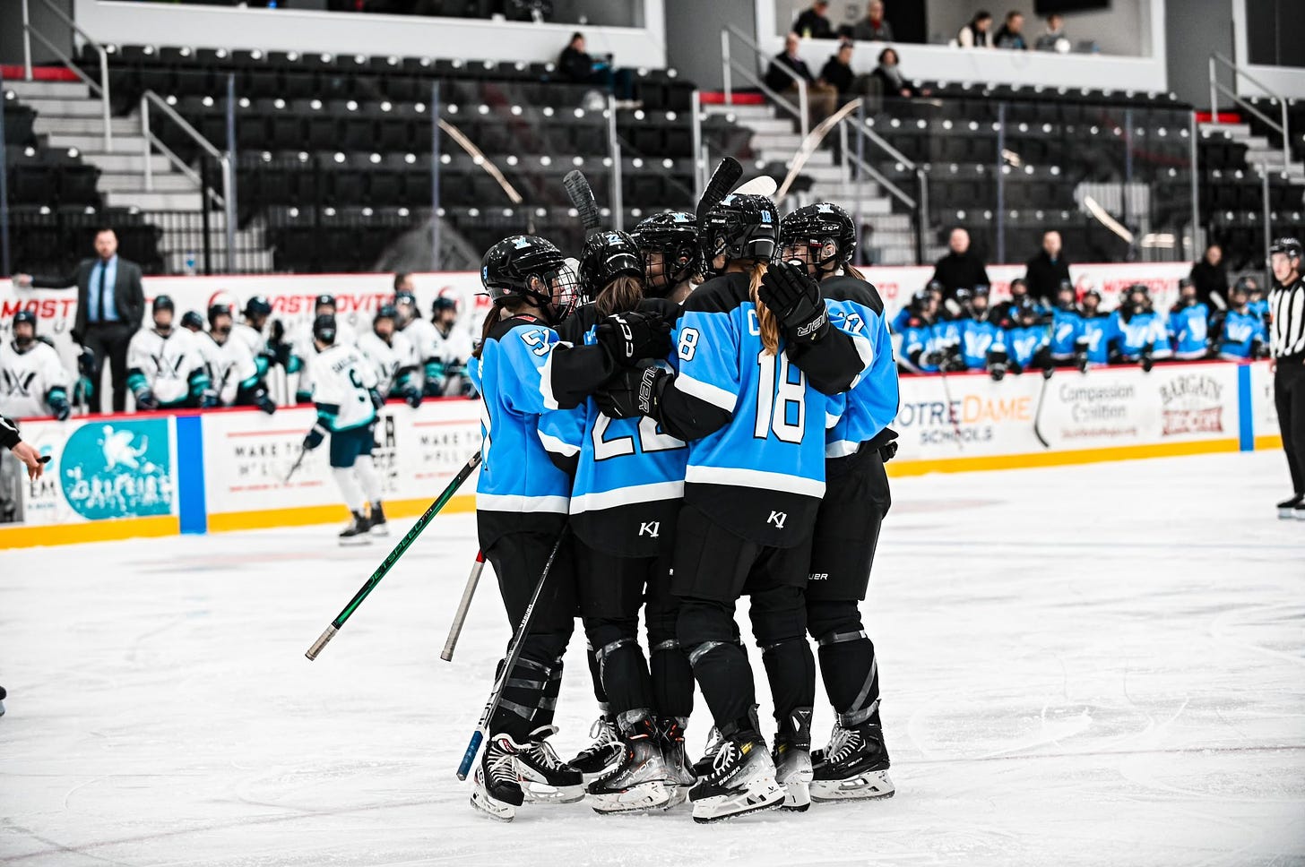 PWHL Toronto players celebrating scoring a goal.