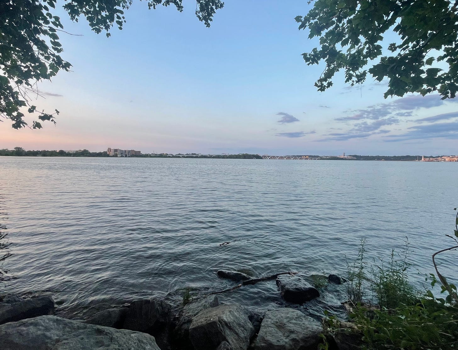 Picture of the Potomac River through a break in the trees