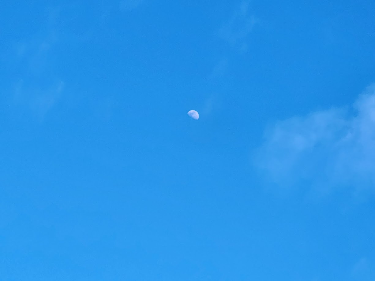 Picture of a quarter moon.