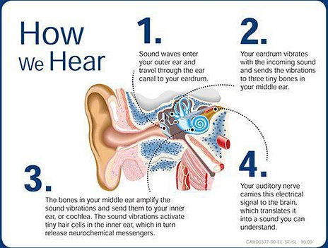 How do we hear? 