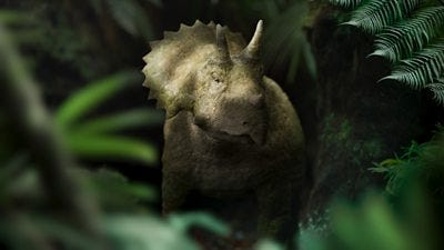 A baby triceratops stood in a forest surrounded by leaves