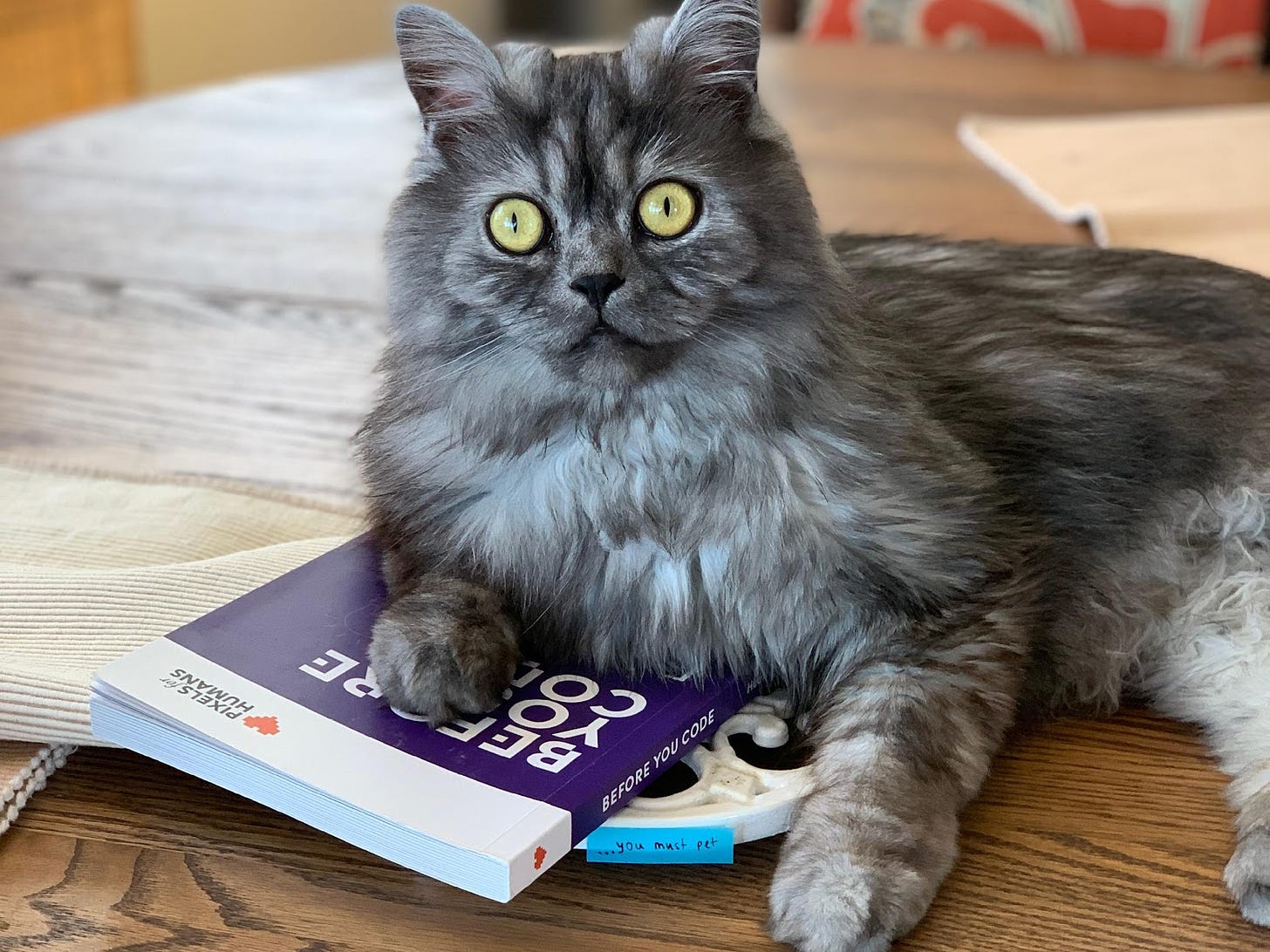 A photo of long-haired fluffy gray cat with big yellow eyes resting atop a book called "Before you code" by Pixels for Humans.