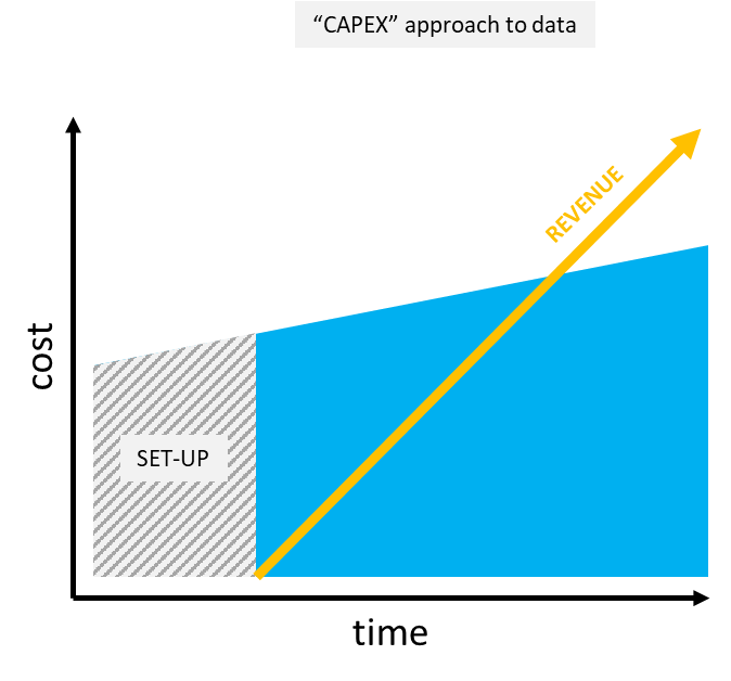 CAPEX approach in web data project
