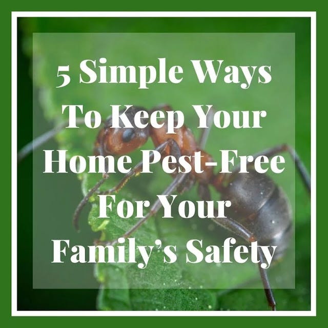 Keep your home pest-free