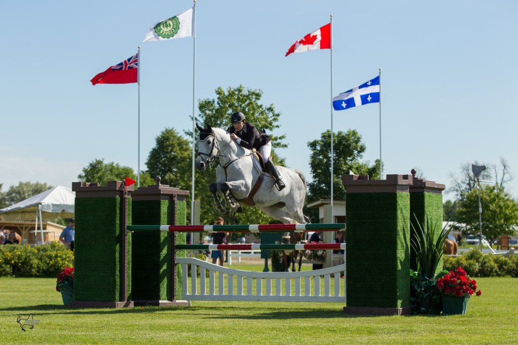 Unique activities in Ottawa - Wesley Clover Parks - Ottawa horse shows