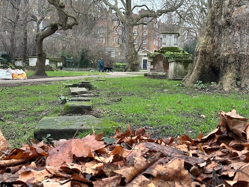 a line of stones divides the two halves of st georges garden. in the foreground is a pile of leaves which smelled of Lilt but, in reflection, i think might have been dog wee