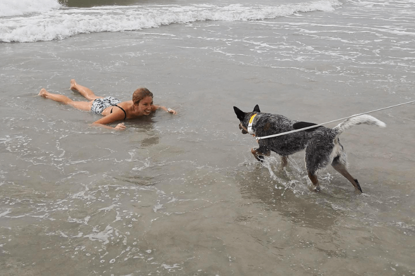 Haley, a blonde human, lies on her stomach in the shallow ocean water. Her Australian cattle dog, Scout, wades through the waves to approach her with a wagging tail.