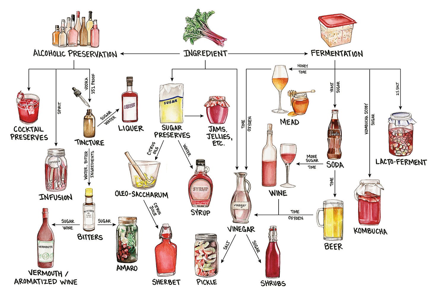 An illustrated flow chart with different drinks and ingredients on it to explain how to make different beverages adding different things. 