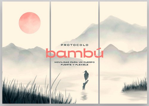 Banner de protocolo bambú