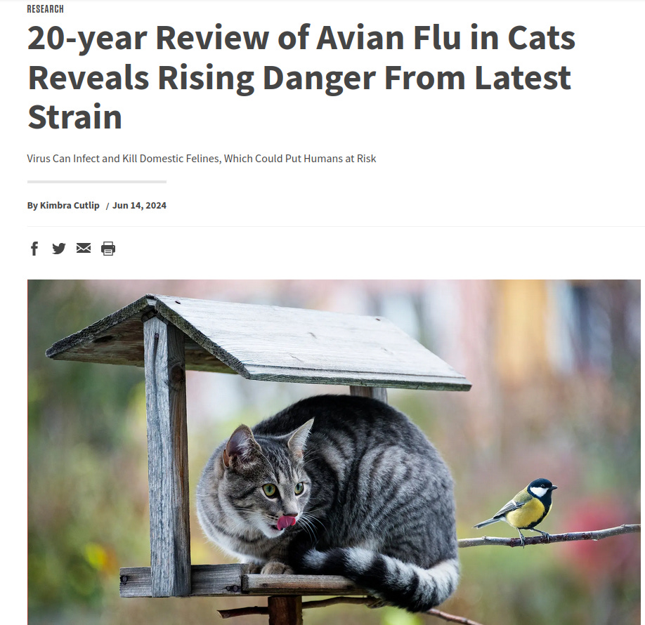 The Bird Flu SCAM: Evil “Experts” Want To Murder Our CATS 
