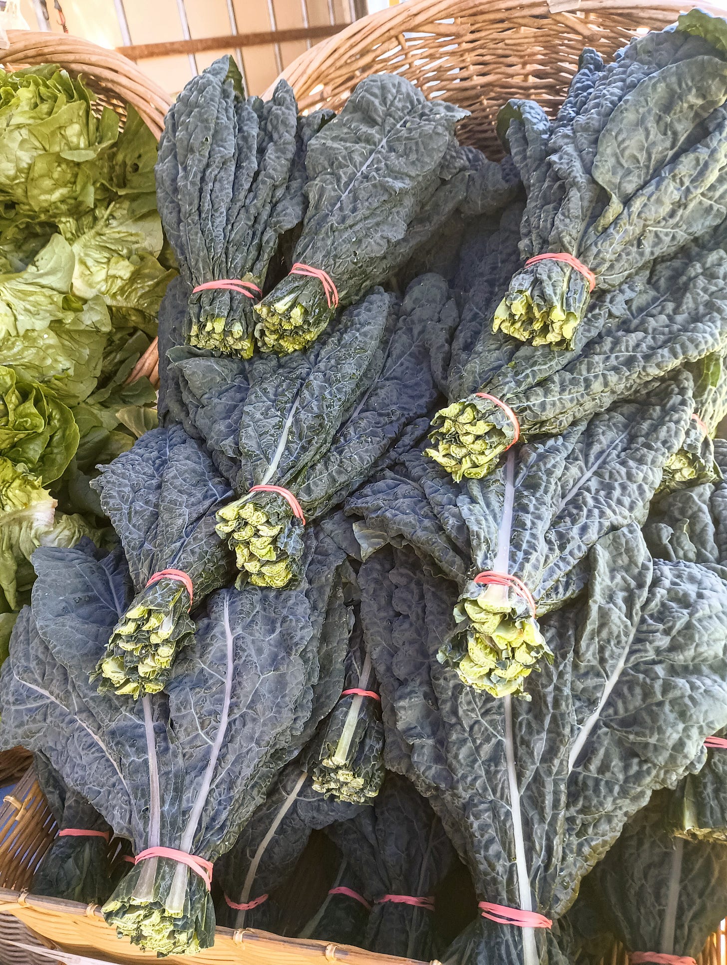 bundles of Tuscan kale.