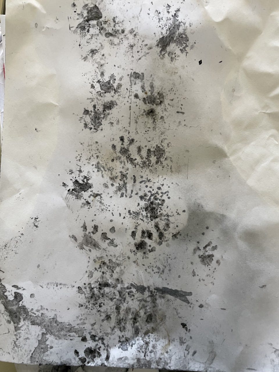 Hedgehog footprints from Dearne Valley College