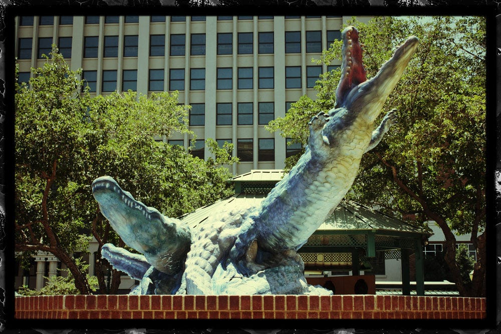 (Luis Hernandez/Borderzine.com) (Luis Hernandez/Borderzine.com)