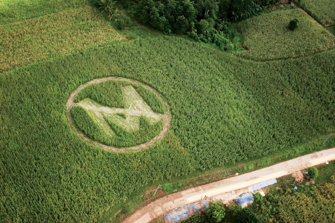 Monsanto's Cruel, and Dangerous, Monopolization on American Farming |  Vanity Fair
