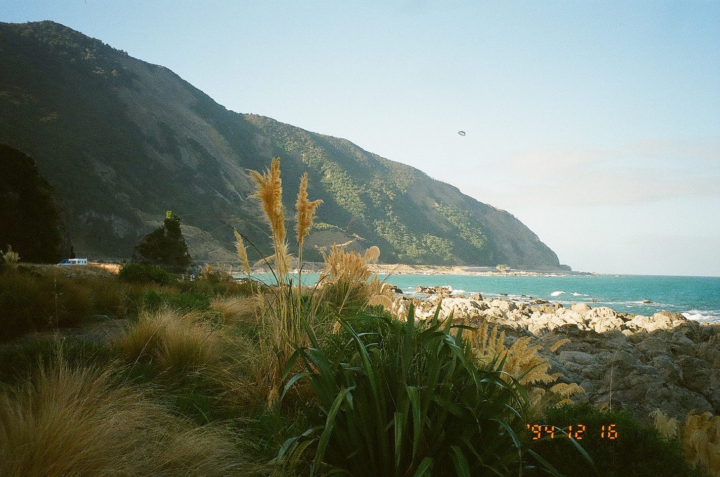 Nin's bin crayfish restaurant Kiakoura New Zealand must see food story by travel writer Courtney Jill Bishop.