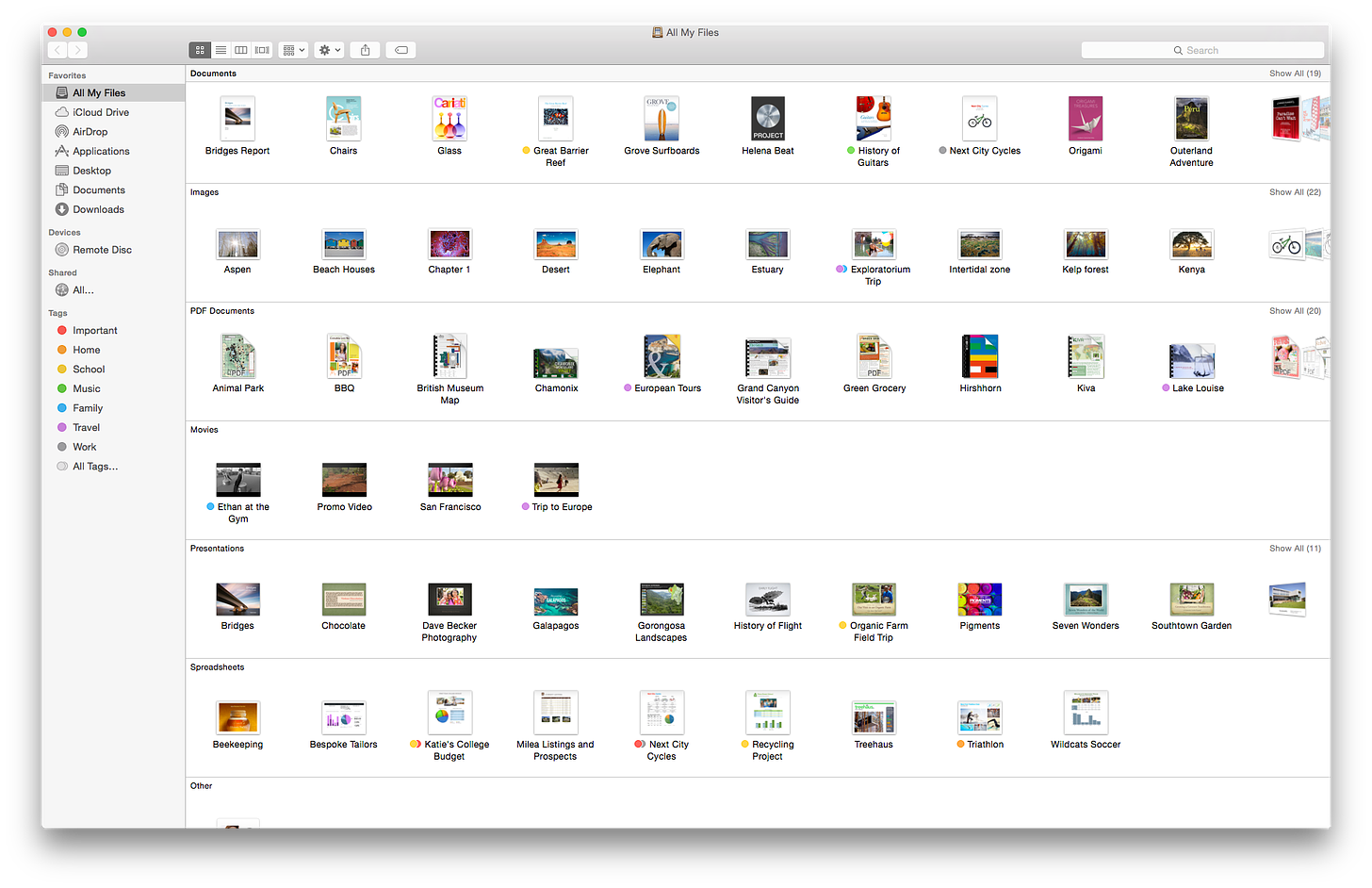 2010s screenshot of an Apple Store mac's files.