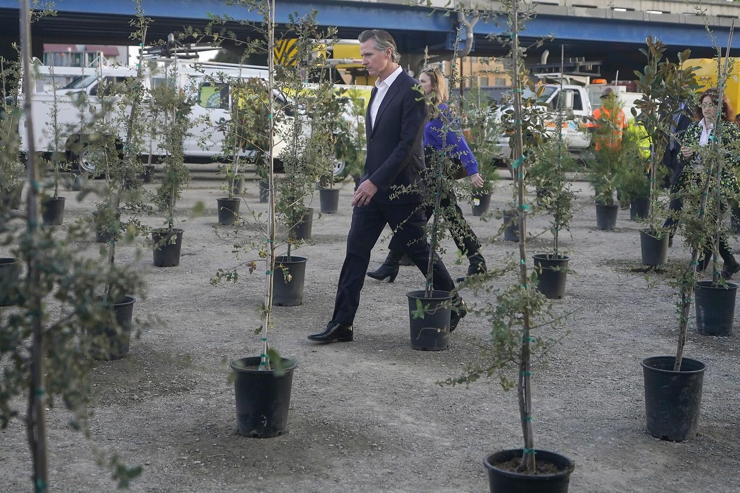 California Gov. Gavin Newsom walks between saplings in pots to be planted during a Clean California event.