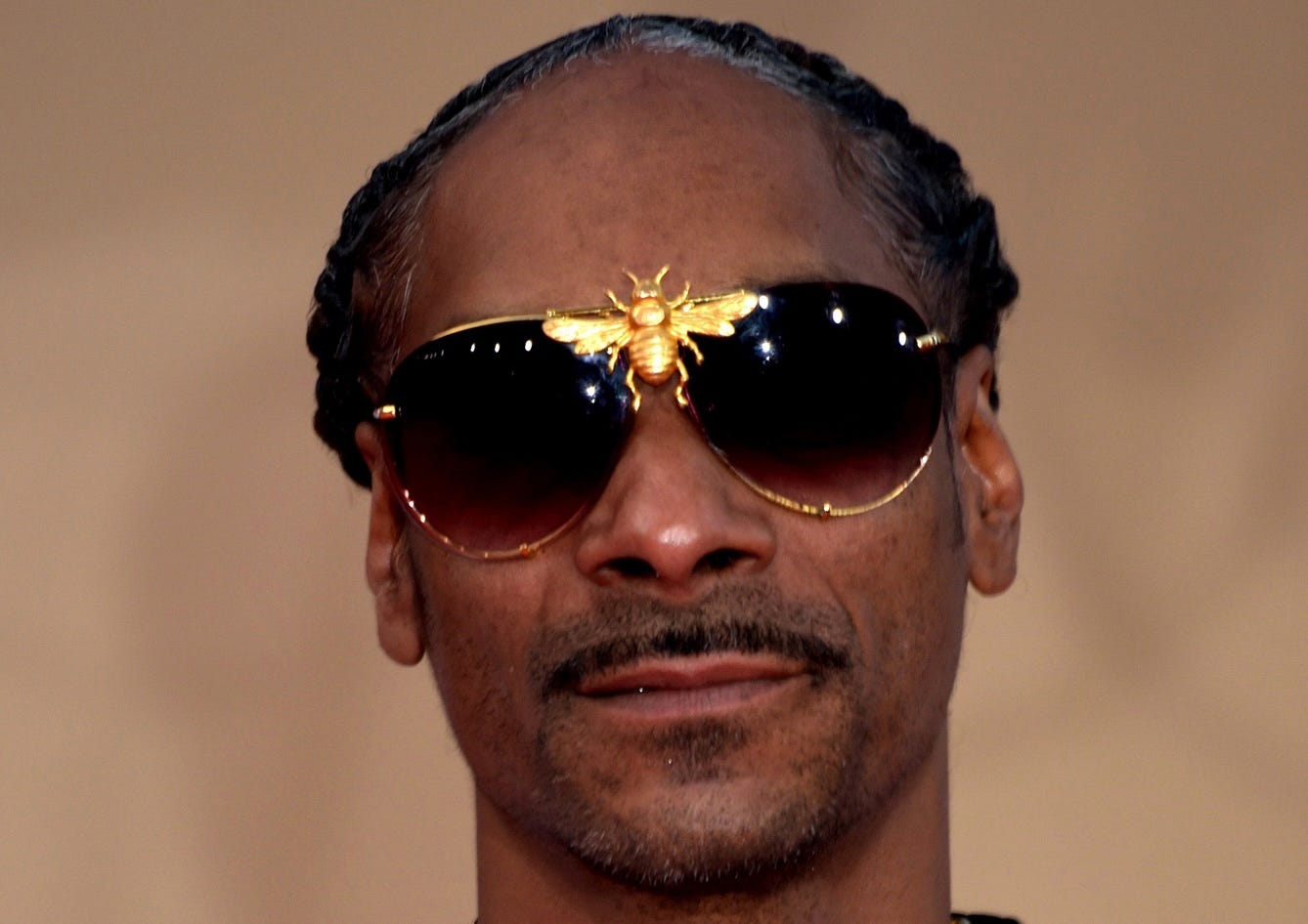 noop Dogg. Photo: Glenn Francis of www.PacificProDigital.com (CC BY-SA 4.0)