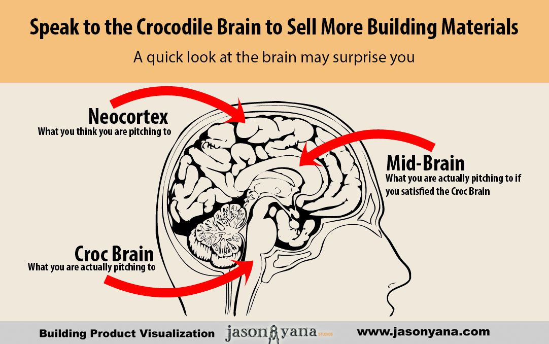 Speak to the Crocodile Brain to Market & Sell Building Materials  Effectively | Visual Construction Marketing by Jason Yana