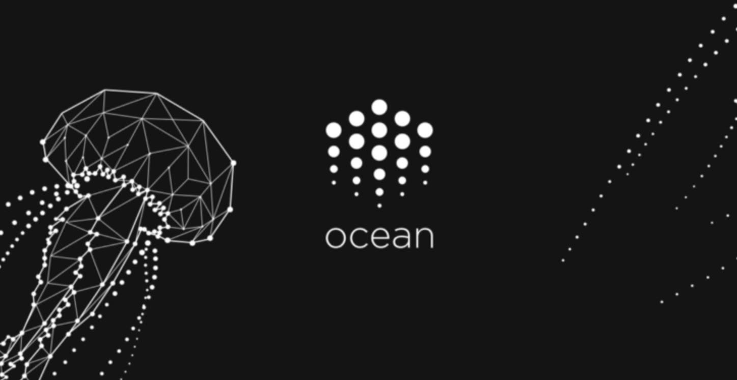 OCEAN PROTOCOL: A Guide to $OCEAN - Asia Crypto Today