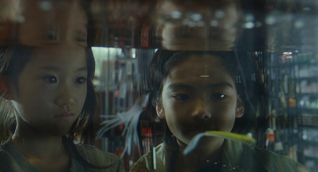 Shoplifters – [FILMGRAB]